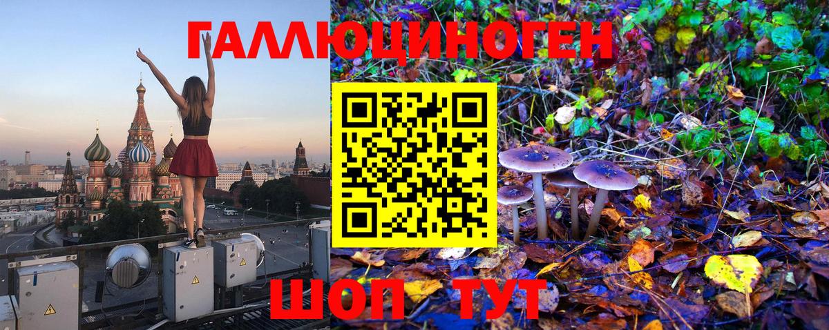 Псилоцибиновые грибы MAGIC MUSHROOMS  Вход с VPN  Богданович  Псилоцибиновые грибы GOLDEN TEACHER 