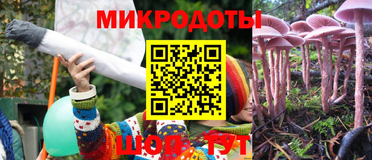 Псилоцибиновые грибы мухоморы Богданович